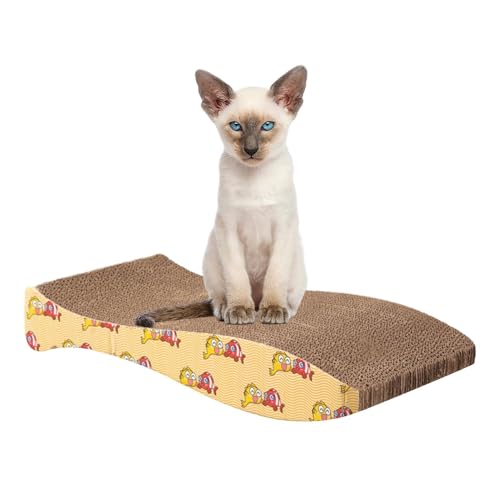 CATTO CAT CATTO CAT von LearnLyrics