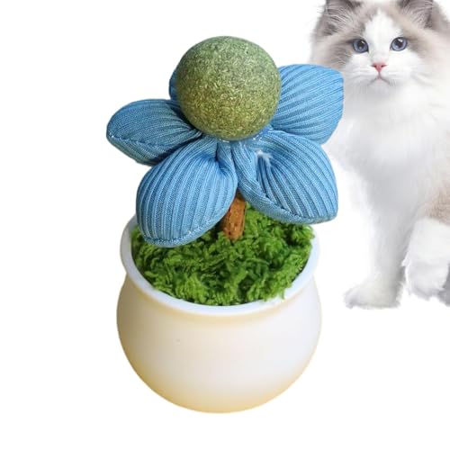 Catnip Toys for Cats, Catnip Flower Toy – Leck-Kugeln aus Blumentöpfen für Katzen – Indoor Kätzchen Unterhaltung für Haustiere zum Spielen der Zahnreinigung Catnip Toys for Cats, Catnip Flower Toy – Leck-Kugeln aus Blumentöpfen für Katzen – Indoor Kätzchen Unterhaltung für Haustiere zum Spielen der Zahnreinigung von LearnLyrics