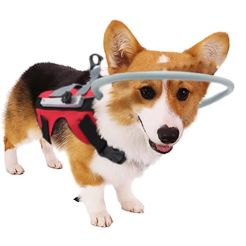 Halo Walking Cabla für blinde Hunde | Antikollisionsring des Hundes, Halo nutzt Katzen zum Schutz und Vertrauen, Kettenweste für Anim von LearnLyrics