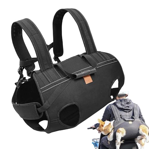 Hundegeschirr, Beinstütze für Hunde, atmungsaktiv, verstellbar, für Erholung, Mobilität, unterstütztes Leben, tägliches Gehen, Bewegung, Seniorenpflege, Outdoor Hundegeschirr, Beinstütze für Hunde, atmungsaktiv, verstellbar, für Erholung, Mobilität, unterstütztes Leben, tägliches Gehen, Bewegung, Seniorenpflege, Outdoor von LearnLyrics