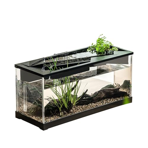 Kleines Aquarium, kompaktes Glas-Aquarium, klare Sichtscheibe, schlankes, modernes Design, ideal für den Schreibtisch oder kleine Räume, leicht zu pflegen, perfekter Lebensraum für Betta-Fische und von LearnLyrics