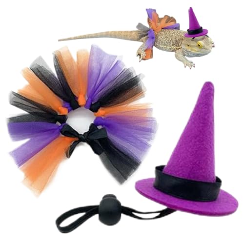 Kostüme für Barbu- , Halloween-Kostüm, Barbu Hexe, Halloween-Zubehör für Haustiere: Amphibien, Reptilien, Vögel, Nagetiere und Igel Kostüme für Barbu- , Halloween-Kostüm, Barbu Hexe, Halloween-Zubehör für Haustiere: Amphibien, Reptilien, Vögel, Nagetiere und Igel von LearnLyrics