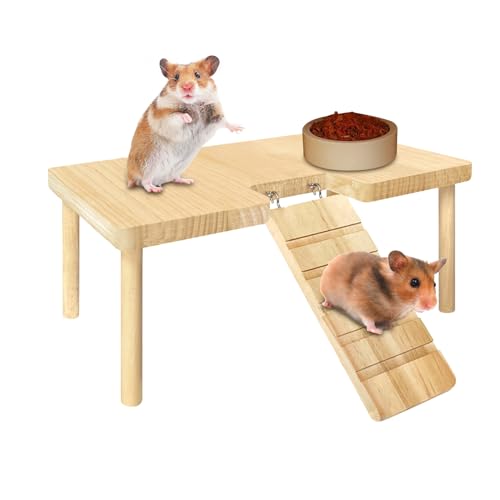 Hamster Bridge Toy – Small Pets Stairs Toy – Hamster Gerbil Mice Käfig Zubehör Hamster Spielzeug Springen Board Playground für Hamster Gerbils Mice Hamster Bridge Toy – Small Pets Stairs Toy – Hamster Gerbil Mice Käfig Zubehör Hamster Spielzeug Springen Board Playground für Hamster Gerbils Mice von LearnLyrics
