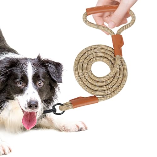 Hundeleine, Rutschleine, reflektierendes Hundeseil für Haustiere, Training Lashes – Tragen Sie ein widerstandsfähiges Seil für kleine, mittlere und mittelgroße Hunde Hundeleine, Rutschleine, reflektierendes Hundeseil für Haustiere, Training Lashes – Tragen Sie ein widerstandsfähiges Seil für kleine, mittlere und mittelgroße Hunde von LearnLyrics