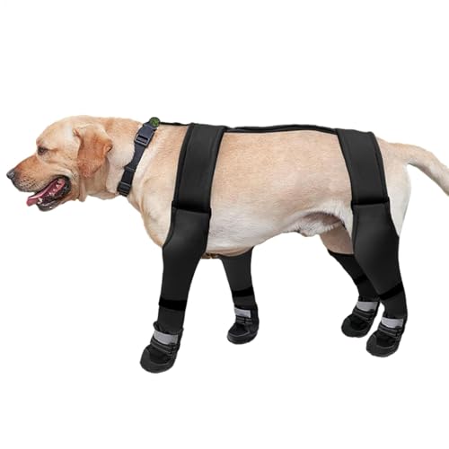 LearnLyrics Hundestiefel Leggings mit wasserdichten und weichen Hundestiefeln - Verstellbare und rutschfeste Winterschuhe - Hundeschuhe für den Außenbereich - Haustierkleidung LearnLyrics Hundestiefel Leggings mit wasserdichten und weichen Hundestiefeln - Verstellbare und rutschfeste Winterschuhe - Hundeschuhe für den Außenbereich - Haustierkleidung von LearnLyrics