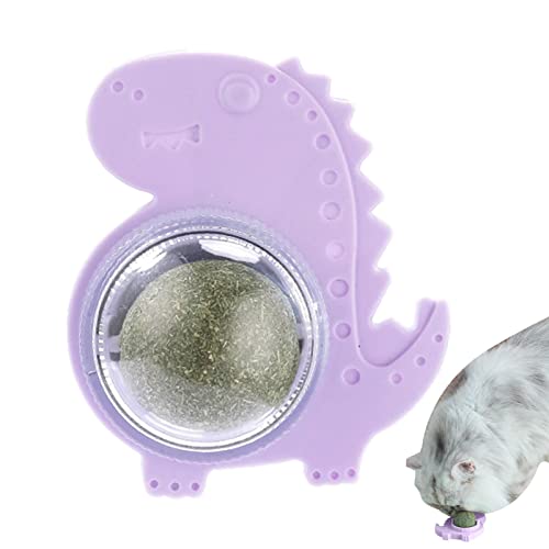 LearnLyrics Katzen-Wandspielzeug – Wandhalter für Katzenball – Dinosaurier-Katzen-Kugel-Wandspielzeug zum Lecken und Reinigen von Katzen LearnLyrics Katzen-Wandspielzeug – Wandhalter für Katzenball – Dinosaurier-Katzen-Kugel-Wandspielzeug zum Lecken und Reinigen von Katzen von LearnLyrics