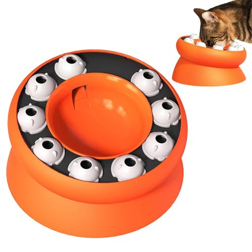LearnLyrics Langsam fressende Katzennapf,Langsam fressende Katzennapf - Erhöhter und betitelter Puzzle-Futternapf für Katzen | Katzenfutternapf für gesunde Ernährung, verhindert übermäßiges Fressen von LearnLyrics