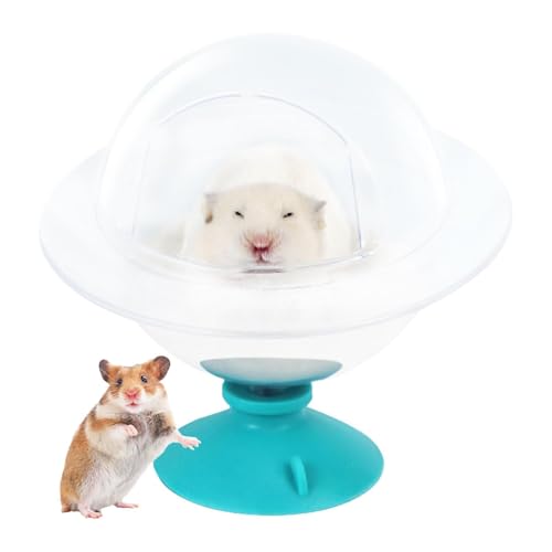 LearnLyrics Sandbadbehälter für Hamster, Badewanne für Hamster | Duschwanne, Badeschüssel, Sandbad – Relax House Badehaus für kleine Tiere für Rennmäuse LearnLyrics Sandbadbehälter für Hamster, Badewanne für Hamster | Duschwanne, Badeschüssel, Sandbad – Relax House Badehaus für kleine Tiere für Rennmäuse von LearnLyrics