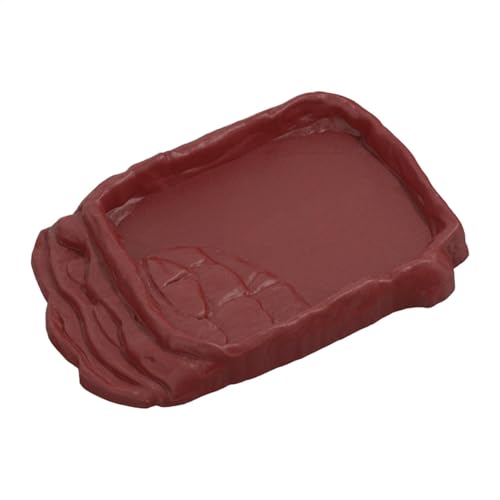 LearnLyrics Schildkröten-Wasserschale | Schildkröten-Wasserschale mit rutschfesten Steinleitern | Schildkröten-Lebensraum-Zubehör, Wasserschale für Reptilien-Tank, Aquarium-Ornament LearnLyrics Schildkröten-Wasserschale | Schildkröten-Wasserschale mit rutschfesten Steinleitern | Schildkröten-Lebensraum-Zubehör, Wasserschale für Reptilien-Tank, Aquarium-Ornament von LearnLyrics