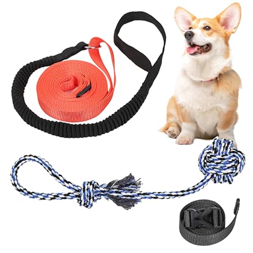 LearnLyrics Seilspielzeug für Hunde, Tether Tug Outdoor-Hundespielzeug,Tree Tugger Hundespielzeug mit Ball, Hundeseilspielzeug | Interaktives Hundespielzeug, Hundebaum-Ziehspielzeug zum Ziehen, LearnLyrics Seilspielzeug für Hunde, Tether Tug Outdoor-Hundespielzeug,Tree Tugger Hundespielzeug mit Ball, Hundeseilspielzeug | Interaktives Hundespielzeug, Hundebaum-Ziehspielzeug zum Ziehen, von LearnLyrics