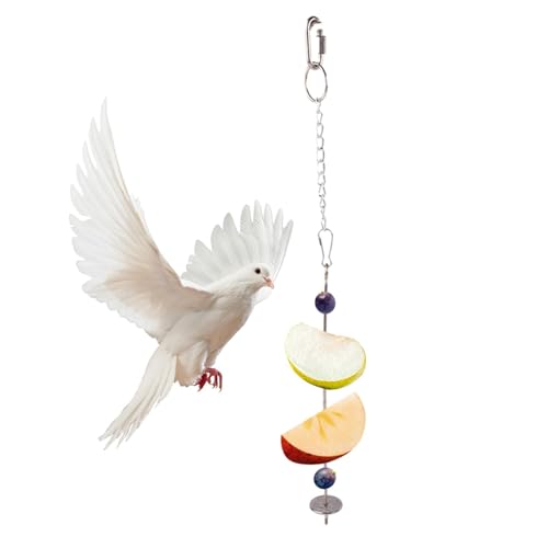 LearnLyrics Vogelkäfig Futterständer Futterstation für Wellensittiche Vogelkäfig | Leckerlihalter für | Wellensittich Futterstation | Futterstation für Kleintiere, Spielzeug LearnLyrics Vogelkäfig Futterständer Futterstation für Wellensittiche Vogelkäfig | Leckerlihalter für | Wellensittich Futterstation | Futterstation für Kleintiere, Spielzeug von LearnLyrics