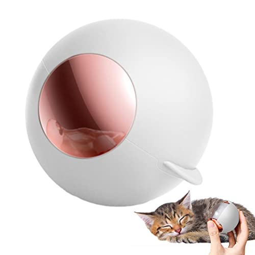 LearnLyrics Waschbarer Tierhaarentferner - Tragbarer Haarentferner, Katzenhaarentferner Ball | Ball Multifunktionaler Haarentferner, Waschbare Tragbare Haustierrollen Haarentferner für Reisen Hund, LearnLyrics Waschbarer Tierhaarentferner - Tragbarer Haarentferner, Katzenhaarentferner Ball | Ball Multifunktionaler Haarentferner, Waschbare Tragbare Haustierrollen Haarentferner für Reisen Hund, von LearnLyrics
