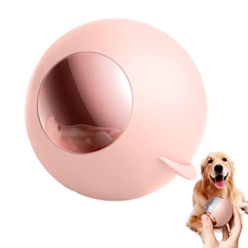 LearnLyrics Waschbarer Tierhaarentferner - Tragbarer Haarentferner, Katzenhaarentferner Ball | Ball Multifunktionaler Haarentferner, Waschbare Tragbare Haustierrollen Haarentferner für Reisen Hund, LearnLyrics Waschbarer Tierhaarentferner - Tragbarer Haarentferner, Katzenhaarentferner Ball | Ball Multifunktionaler Haarentferner, Waschbare Tragbare Haustierrollen Haarentferner für Reisen Hund, von LearnLyrics