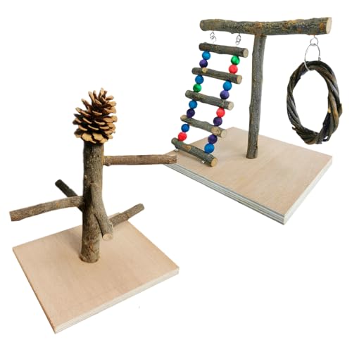 Parrotplayground Stand-Multi-Level-Vogel-Fitnessspielzeug, Holzbarsch und Schwung Set | Kletterleiterplattform für Cockatiels Shotets Conures, Fun Cage Play Center für kleine Vögel Übung Innengebrauch von LearnLyrics