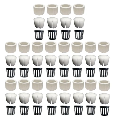 Pflanzen-Organizer-Ring, PP-Aquarium-Pflanzenhalterring, Schwamm, Wasserpflanzengewicht, Keramik-Aquarium-Dekoration, platzsparende Landschaft, dekoratives Zubehör für Aquarium-Landschaft Pflanzen-Organizer-Ring, PP-Aquarium-Pflanzenhalterring, Schwamm, Wasserpflanzengewicht, Keramik-Aquarium-Dekoration, platzsparende Landschaft, dekoratives Zubehör für Aquarium-Landschaft von LearnLyrics