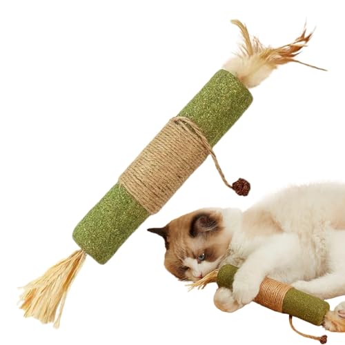 Silvervine Katzenstäbchen – Katzenstäbchen für Katzen, Kaustäbchen für Katzen | Beißspielzeug für Katzen aus Hanfseil mit Früchten zum Kauen, Leckerli-Spielzeug für Katzen Silvervine Katzenstäbchen – Katzenstäbchen für Katzen, Kaustäbchen für Katzen | Beißspielzeug für Katzen aus Hanfseil mit Früchten zum Kauen, Leckerli-Spielzeug für Katzen von LearnLyrics