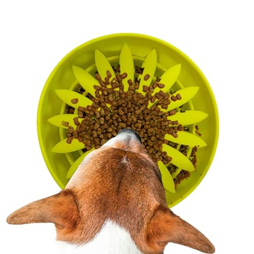 Slow Feeder Pet Bowl | Hund Futternapf - Hund Futternapf, Hund Futternapf, Rutschfester Hund Slow Feeder Bowl für Gesunde Ernährung, Hunde Katzen Slow Feeder Pet Bowl | Hund Futternapf - Hund Futternapf, Hund Futternapf, Rutschfester Hund Slow Feeder Bowl für Gesunde Ernährung, Hunde Katzen von LearnLyrics