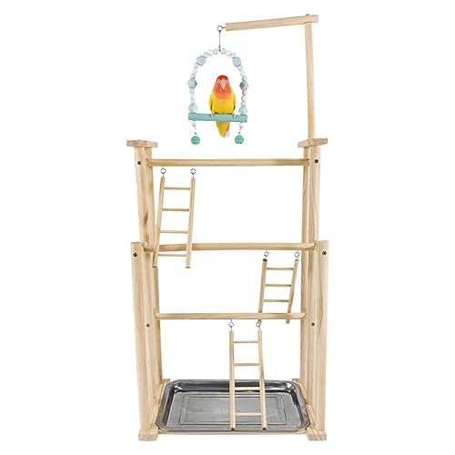 Spielständer – Vogel-Sitzstange, Papageien-Laufstall | Papageienständer aus , Spielplatz, Papageien-Sitzstange mit Schraube, Werkzeug, Tablett und Tasse, Vogel-Fitnessstudio Spielständer für von LearnLyrics