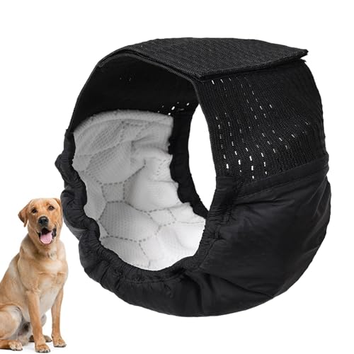 Taillenwickel für männliche Hunde – Welpen-Pipi-Wickel, hochsaugfähige Hundewindeln | Doggie Puppy Training Hochsaugfähige Windeln, Windeln, Taillenwickel, Doggie Puppy Windeln für Rüden und Hündinnen Taillenwickel für männliche Hunde – Welpen-Pipi-Wickel, hochsaugfähige Hundewindeln | Doggie Puppy Training Hochsaugfähige Windeln, Windeln, Taillenwickel, Doggie Puppy Windeln für Rüden und Hündinnen von LearnLyrics