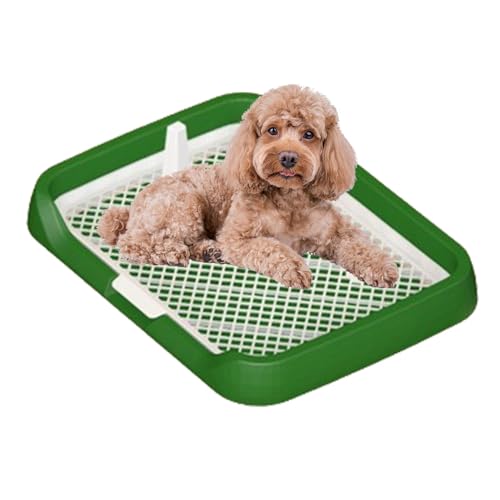 Töpfchen für den Innenbereich, Netzgitter, leicht zu reinigen, abnehmbare Säule, einfache Einrichtung, Urinierschale, langlebig, abnehmbare Säule, Töpfchen für Hunde, Welpen, Haustiere Töpfchen für den Innenbereich, Netzgitter, leicht zu reinigen, abnehmbare Säule, einfache Einrichtung, Urinierschale, langlebig, abnehmbare Säule, Töpfchen für Hunde, Welpen, Haustiere von LearnLyrics