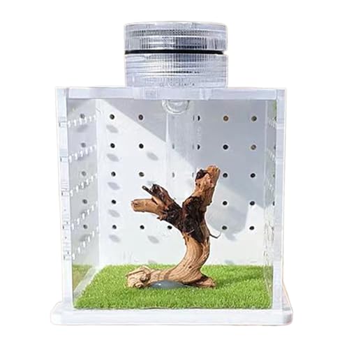 Transparente Spinnen-Terrariumbox – Lautsprecher zum Überspringen von Spinnen und Spinnen | Behälter für Brutlebensräume mit einem leichten Luftbefeuchter von LearnLyrics