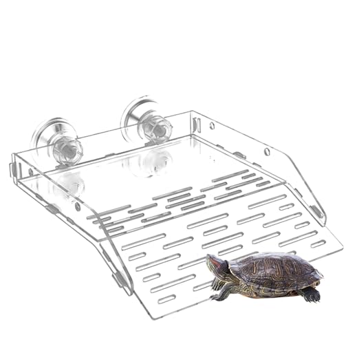 Turtle Bomping Ramp - Schwimmende Schildkrötendock mit Saugkraft, Reptilienplattform | Schildkröten-Selsifizierungsplattform für Aquarien, einfache Aufstiegsrampe für Frösche d Turtle Bomping Ramp - Schwimmende Schildkrötendock mit Saugkraft, Reptilienplattform | Schildkröten-Selsifizierungsplattform für Aquarien, einfache Aufstiegsrampe für Frösche d von LearnLyrics