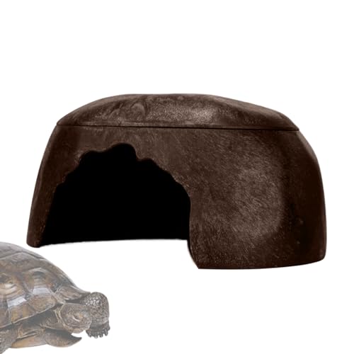 Unterschlupf für Schlangen – Unterschlupf für Amphibien | Feuchter Lebensraum für kleine Reptilien mit 3 Behältern – Zuflucht für Barbudrachen, Schlange, Schildkröte, Frosch und Eidechse von LearnLyrics