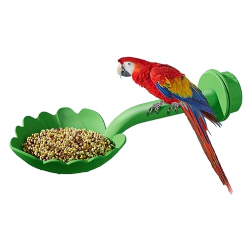 Vogel-Sitzstangen für Käfig, Vogelsitzstange, Papageienspielzeug, Futterspender, Sittichkäfig-Zubehör, Haustierzubehör zum Klettern, Füttern, Ara, Kolibri, Kanarienvögel, Finken, Lovebird, von LearnLyrics