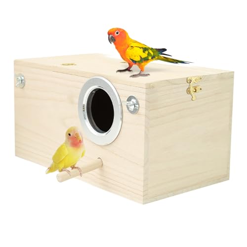 Vogelhaus - Vogelhaus - Vogelhaus aus Insektenset Wildlife Sanctuary | Zedernvogelhaus Nistkasten für Papageienzucht aus Vogelhaus von LearnLyrics