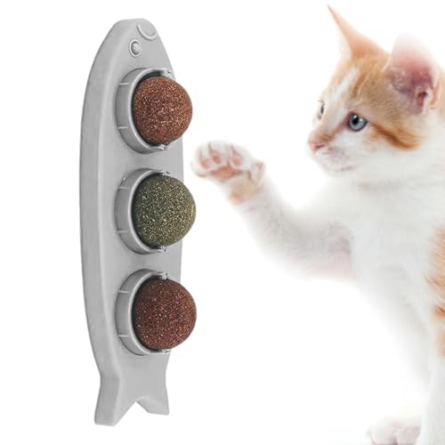 Wand-Katzenminze-Bälle, hängende Bälle, 3 Stück, Lecken von Katzenminze, Haustierball, staubdicht, rein, natürlich, drehbar, Katzenminze-Anreicherungsball, interaktive Wand-Katzenbälle für kleine, Wand-Katzenminze-Bälle, hängende Bälle, 3 Stück, Lecken von Katzenminze, Haustierball, staubdicht, rein, natürlich, drehbar, Katzenminze-Anreicherungsball, interaktive Wand-Katzenbälle für kleine, von LearnLyrics