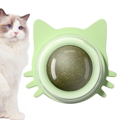 Wand-Katzenminze-Bälle, langlebige Katzenminze-Hängebälle, interaktiver Leck-Katzenminze-Unterhaltungs-Haustierball, drehbarer Katzenminze-Anreicherungsball, interaktive Wand-Katzenbälle für kleine, m von LearnLyrics