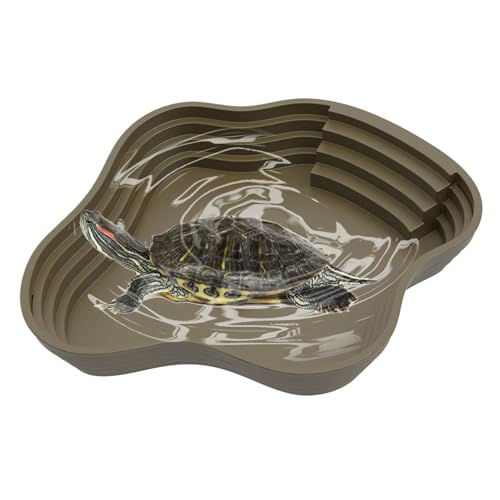 Wasserschale für Reptilien-Tank, Reptilien-Wasserschale | Fütterungsplatte des Barbu- – Reptille Habitat Zubehör mit Rampe für Salamander, Barbu Drache von LearnLyrics