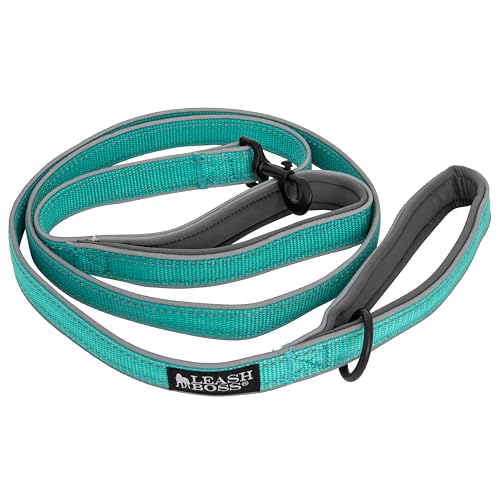 Leashboss Hundeleine mit doppeltem Griff, 1,8 m, reflektierende Hundeleine mit Zwei gepolsterten Griffen für große Hunde oder mittelgroße Hunde, die ziehen (Aqua) von Leash Boss