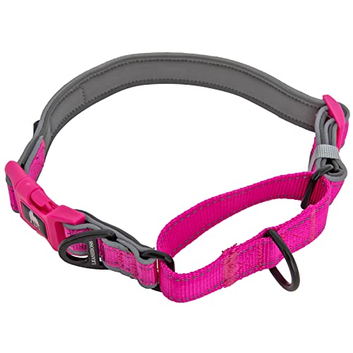 Leashboss Martingale-Halsband für Hunde, reflektierendes Nylon-Hundehalsband für große Hunde, mittelgroße und kleine Hunde, kein Ziehen, Haustier-Trainingshalsband, klein, Schnellverschluss-Schnalle von Leash Boss