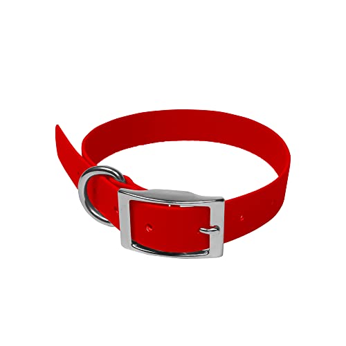 CaniCrafer Halsband, Polyurethan, matt, Schnalle aus vernickeltem Stahl – (2,5 x 65 cm, Rot) von Leathercrafter Europe