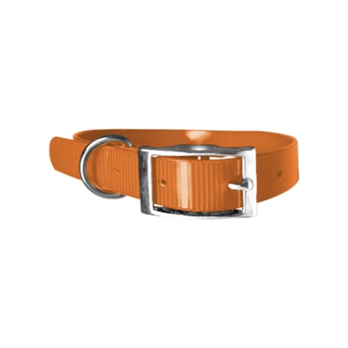 Hundehalsband, Biothane, 2,5 cm, Länge nach Wahl, sehr robust (60 cm, Orange 315) von Leathercrafter Europe