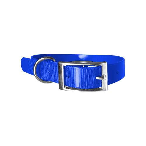 Hundehalsband, Biothane, 2,5 cm, Länge nach Wahl, sehr widerstandsfähig, 55 cm, Blau 318 von Leathercrafter Europe