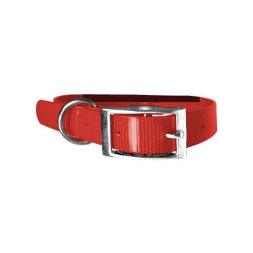 Hundehalsband, Biothane, 2,5 cm, Länge nach Wahl, sehr widerstandsfähig, 55 cm, Rot 318 von Leathercrafter Europe