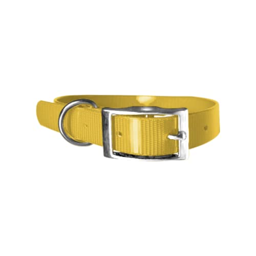 Biothane Gold Hundehalsband – 2,5 cm breit – Länge wählbar – sehr robust (65 cm, Gelb 317) von Leathercrafter Europe