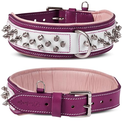 Leatherific Spike Hundehalsband, Spiky-Serie, hochwertiges echtes Zaumleder, strapazierfähig, gepolstert, stark, für mittelgroße und große Rassen, Magenta-Weiß, 5,1 cm breit, Magenta, Halsumfang 55,9 Leatherific Spike Hundehalsband, Spiky-Serie, hochwertiges echtes Zaumleder, strapazierfähig, gepolstert, stark, für mittelgroße und große Rassen, Magenta-Weiß, 5,1 cm breit, Magenta, Halsumfang 55,9 von Leatherific