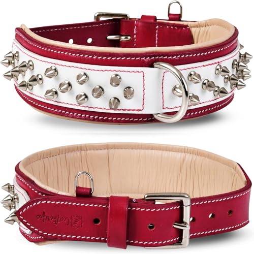 Leatherific Spike Hundehalsband, Spiky-Serie, hochwertiges echtes Zaumleder, strapazierfähig, gepolstert, stark, für mittelgroße und große XL-Rassen, Schwarzbraun, 5,1 cm breit, Halsumfang: 35,6 cm - Leatherific Spike Hundehalsband, Spiky-Serie, hochwertiges echtes Zaumleder, strapazierfähig, gepolstert, stark, für mittelgroße und große XL-Rassen, Schwarzbraun, 5,1 cm breit, Halsumfang: 35,6 cm - von Leatherific