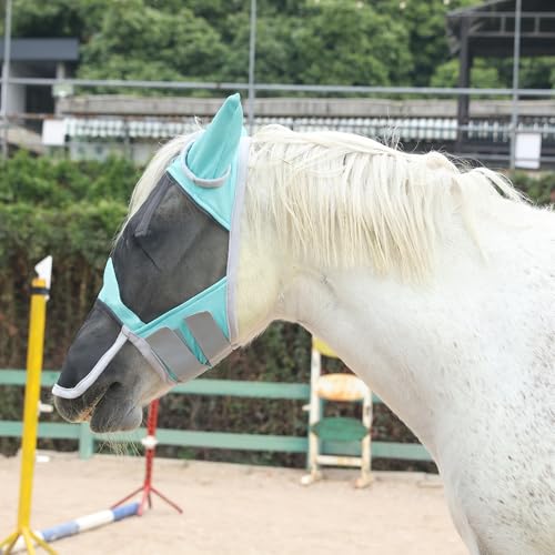 Leberna Feinmaschige Pferde Fliegenmaske Großer Augenraum Lange Nase mit Ohren UV-Schutz für Pferd (Türkis, Cob) von Leberna