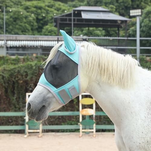 Leberna Fliegenmaske für Pferde mit Ohren, schützt Gesicht und Ohren sanft vor UV-Strahlen und Insekten (Türkis, Pony) von Leberna
