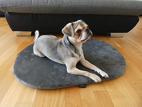 Lebon - Hugo - Hundematte, Liegematte für Hunde, Hundebett - 90 Grad waschbar - Made IN EU Lebon - Hugo - Hundematte, Liegematte für Hunde, Hundebett - 90 Grad waschbar - Made IN EU von Lebon