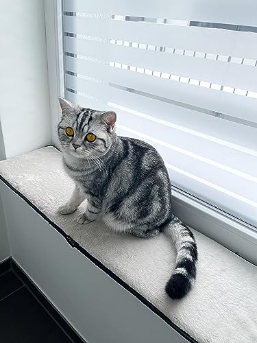 Lebon - Banki XXL - 2 STÜCK - Fensterkissen - Fensterliegekissen - Fensterbankliegeplatz - Fensterbankkissen Kissen Katzenbett - 90x25 - Kuschelweich - Ideal zum ausruhen am Fenster von Lebon