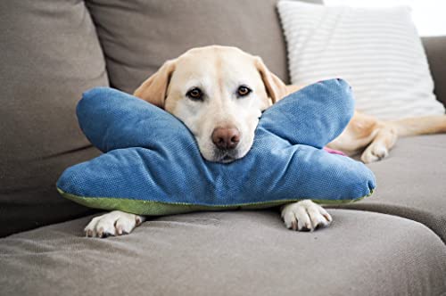 Lebon - Cruto XL Color - Hundekissen Kopfkissen - Zum entspannen und Spielen Made in EU Lebon - Cruto XL Color - Hundekissen Kopfkissen - Zum entspannen und Spielen Made in EU von Lebon