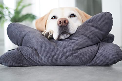 Lebon - Cruto XL - Hundekissen Kopfkissen - Zum entspannen und Spielen Made in EU Lebon - Cruto XL - Hundekissen Kopfkissen - Zum entspannen und Spielen Made in EU von Lebon