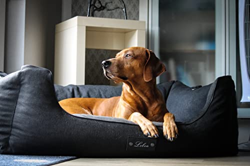 Lebon - Hundebett Carl Plus -100x75x30cm - Orthopädisch- mit Liegedecke zum befestigen - Deluxe - Made IN EU von Lebon