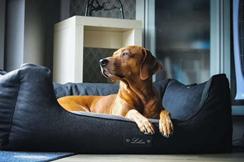 Lebon - Hundebett Carl Plus -120x90x30cm -Orthopädisch- mit Liegedecke zum befestigen - Deluxe - Made IN EU von Lebon