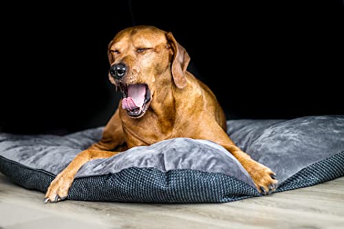Lebon - Orthopädisches Hundekissen Hundebett Jolie - Dick gefülltes Kuschelweiches Kissen in 4 Größen 60cm, 80cm, 100cm und 120cm - Mit Reißverschluss und waschbar Hochwertig und robust (XL) von Lebon